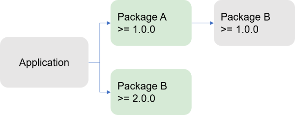 Application using the Direct dependency wins rule