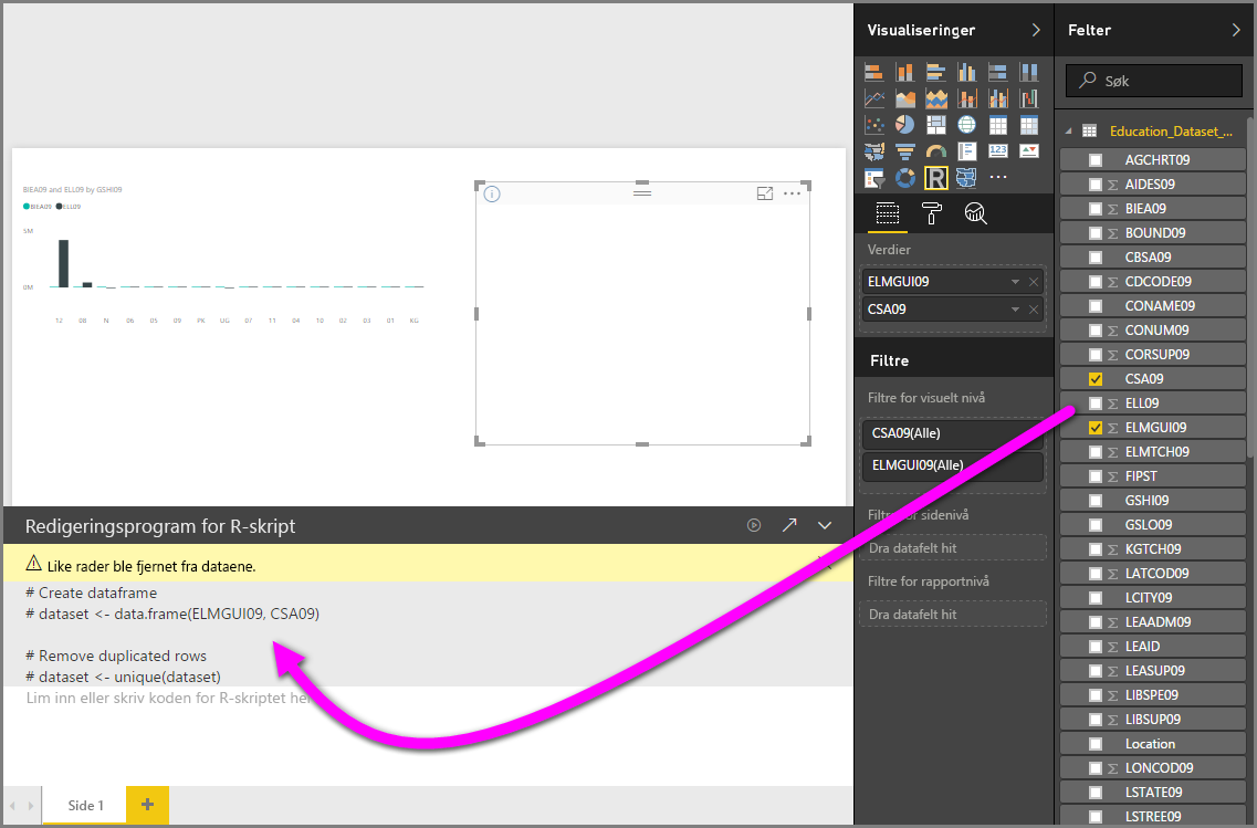 Screenshot of the Visualization pane, showing a blank R visual with script in the R script editor.