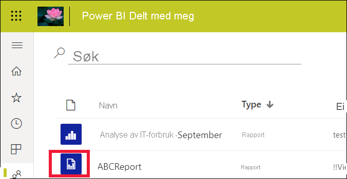 Screenshot showing the report list with one standard report and one paginated report.