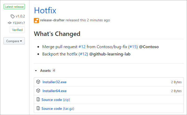 Skjermbilde av å vise en GitHub-utgivelse.