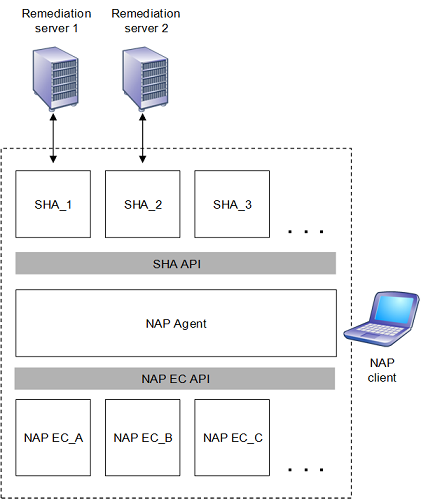 architecture of the nap platform on a nap client