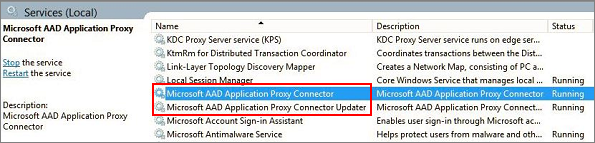 Schermopname van de privénetwerkconnector en connectorupdaterservices in Windows Services Manager.