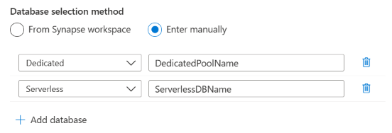 Screenshot of the selection for manually entering database names when setting up a scan.