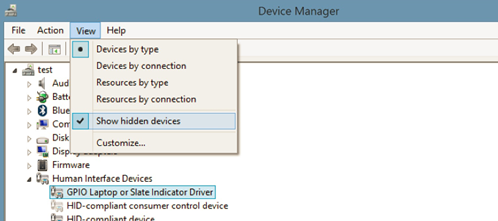 device manager view options