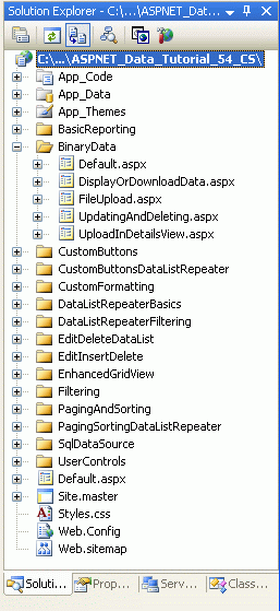 Toevoegen van de ASP.NET pagina's voor de binaire Data-Related-handleidingen