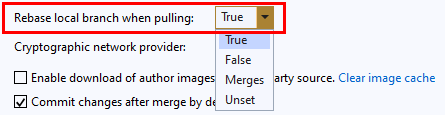 Schermopname van de instelling rebase in Global Instellingen in Team Explorer in Visual Studio 2019.