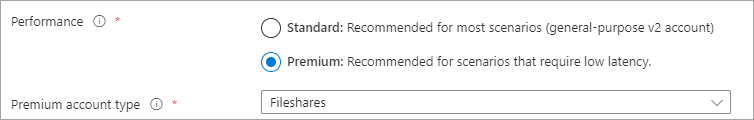 Een schermopname van het keuzerondje prestaties met Premium geselecteerd en accounttype met FileStorage geselecteerd.