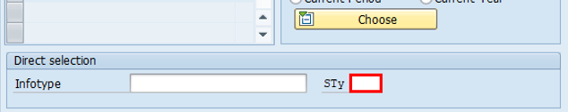 Schermopname van het venster HR-stamgegevens onderhouden van de SAP Easy Access-toepassing. In het gebied Directe selectie van het scherm is het veld STy geselecteerd.
