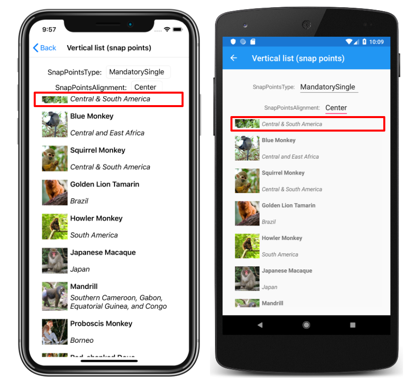 Screenshot of a CollectionView vertical list with center snap points, on iOS and Android