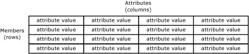 Master Data Services Entity Represented as Table