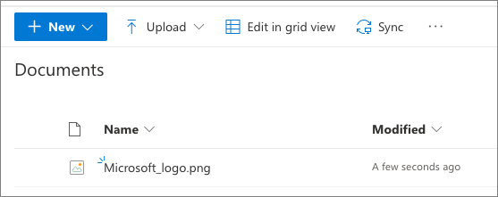 Screenshot showing the documents library with the added file.