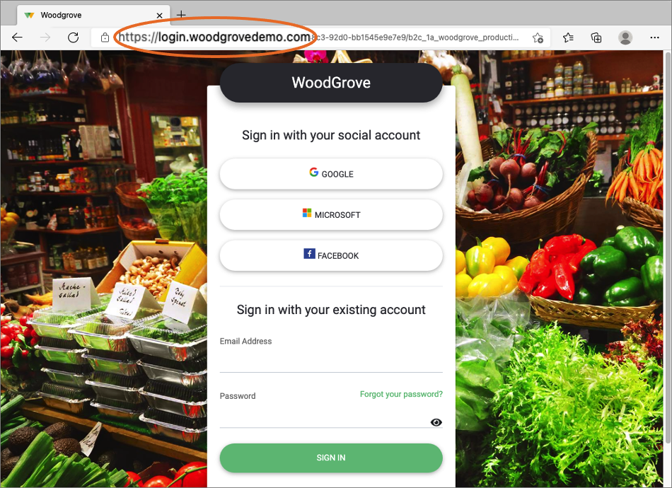 Schermafbeelding van een browservenster waarin de domeinnaam is gemarkeerd in de adresbalk om de aangepaste domeinervaring weer te geven.