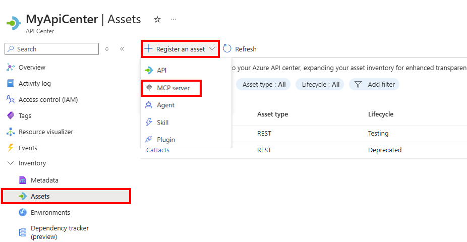Schermopname van de registratie van een MCP-serverasset in de portal.