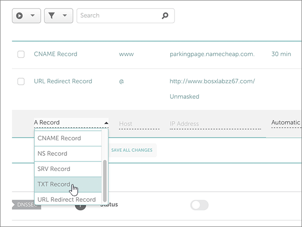 Selecteer TXT-record als domeinverificatie TXT-record.