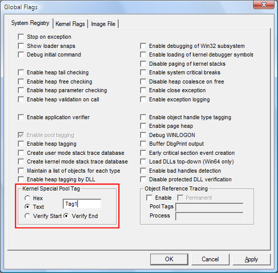 Schermopname van een tag die is ingevoerd als tekst op het tabblad Systeemregister in GFlags.