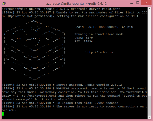 Screenshot of Azure User Redis server window, showing server information including when the server was started and the memory status.