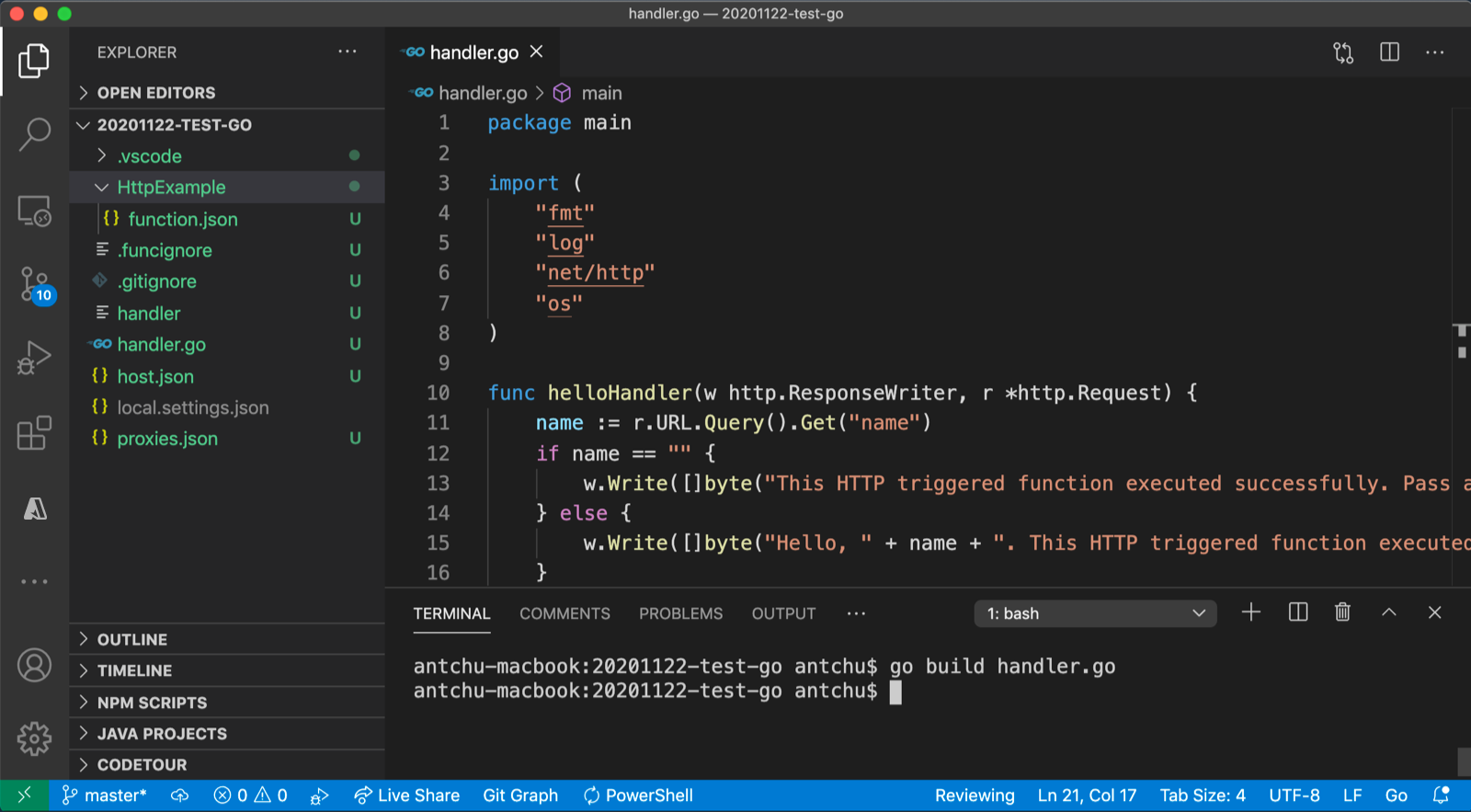 VS code - Aangepaste handler in Go compileren