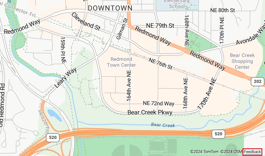 Een schermopname van de koppeling naar het Azure Kaarten feedbackhulpprogramma van een Azure Kaarten-kaart die is gemaakt met behulp van het web-SDK-kaartbeheer.