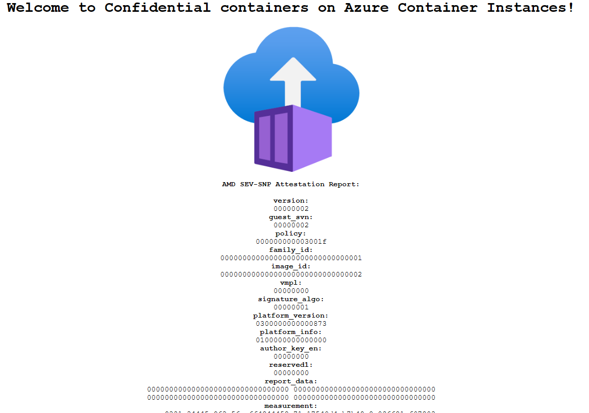Screenshot of a browser view of an app deployed via Azure Container Instances.