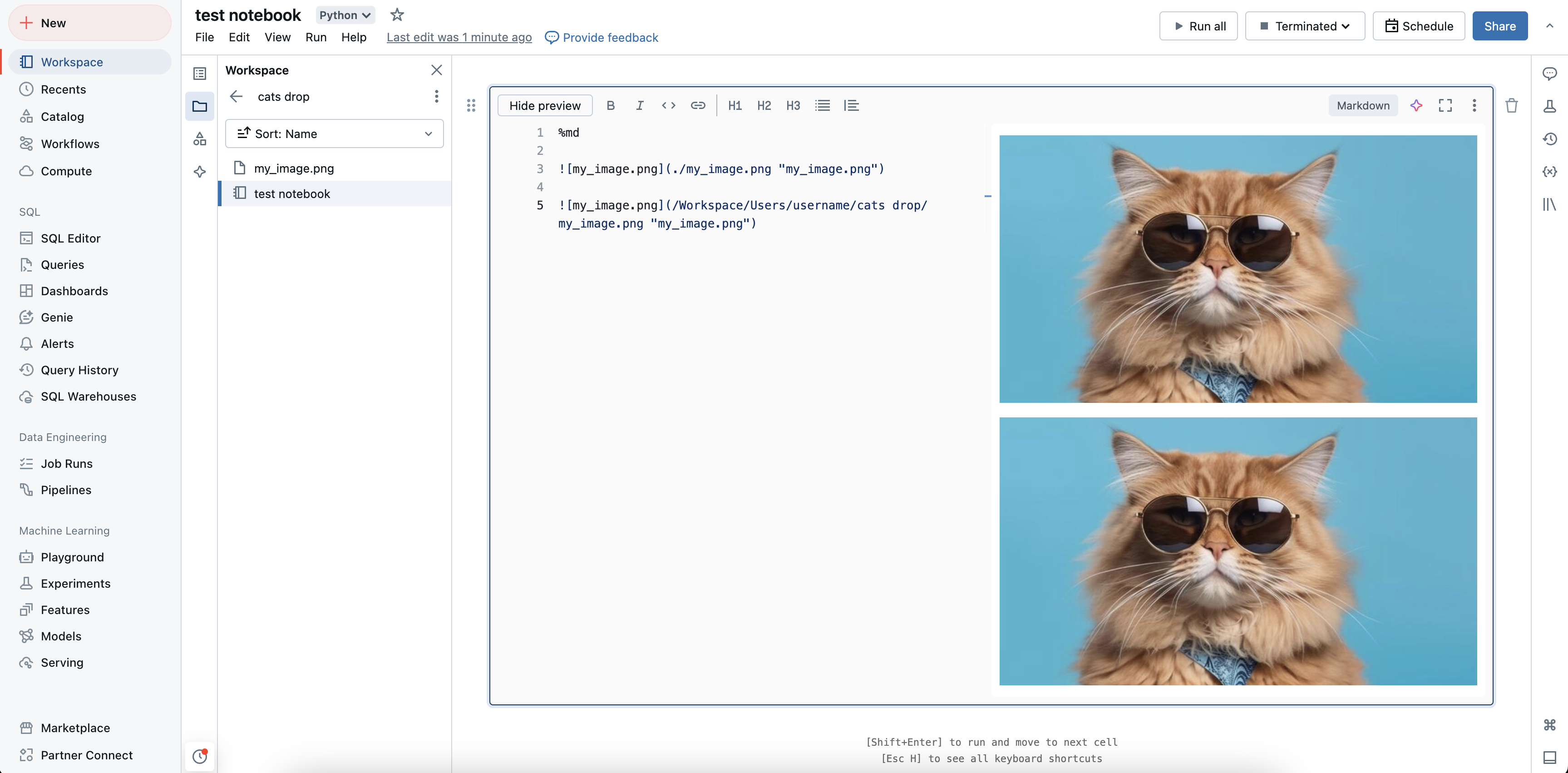 Afbeelding insluiten in Markdown-cel