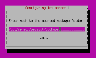 Screenshot of the Enter path to the mounted backups folder prompt.