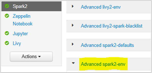Advanced spark2-env section.