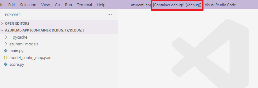 De VS Code-interface van de container
