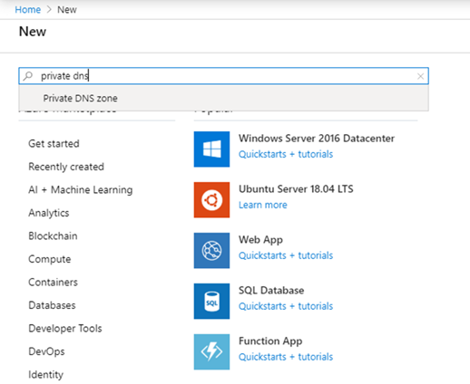 Schermopname van het zoeken naar een privé-DNS-zone op de nieuwe resources-pagina in de Azure-portaal.