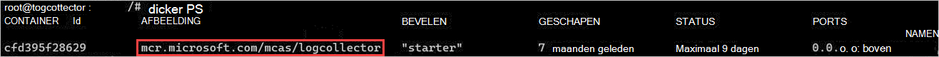 Schermopname van de Docker-container die wordt uitgevoerd.