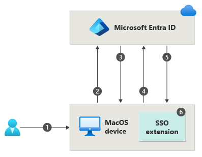 Diagram met een overzicht van de stappen voor het aanmelden van gebruikers met macOS Platform SSO.