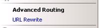 Screenshot of U R L Rewrite under the Advanced Routing section in Routing Rules.