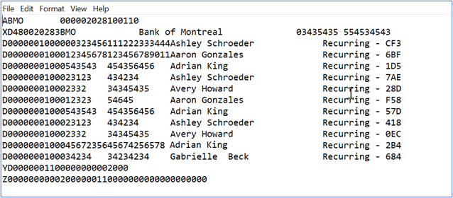 Example bank run file contents Example bank run file contents.