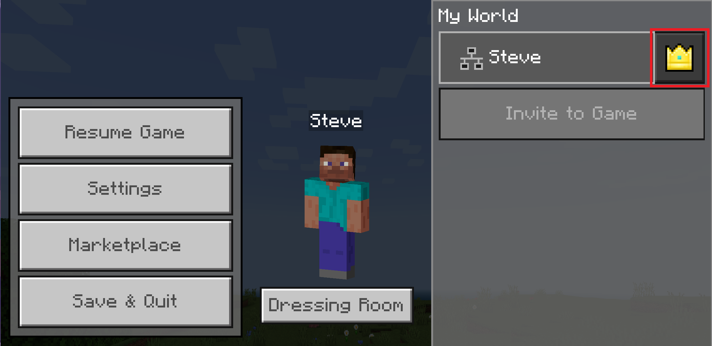 Player permissions icon