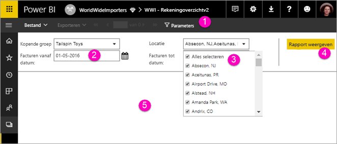 Screenshot showing View paginated report with parameters.