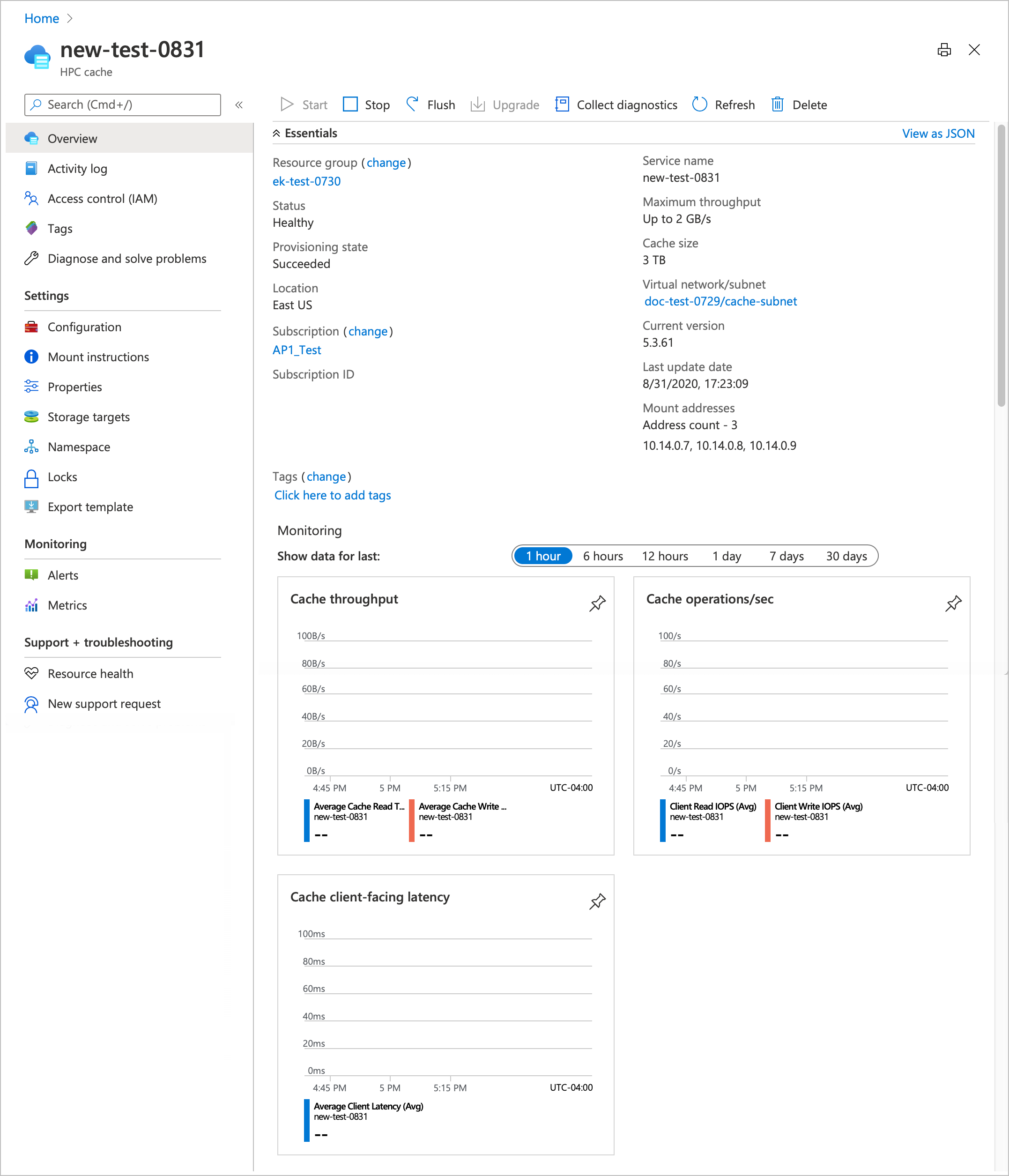 schermopname van de overzichtspagina van een Azure HPC Cache-exemplaar