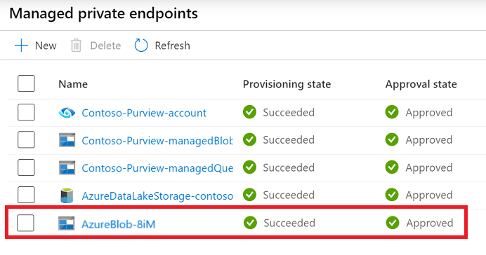 Screenshot that shows managed private endpoints including data sources' in Purview governance portal