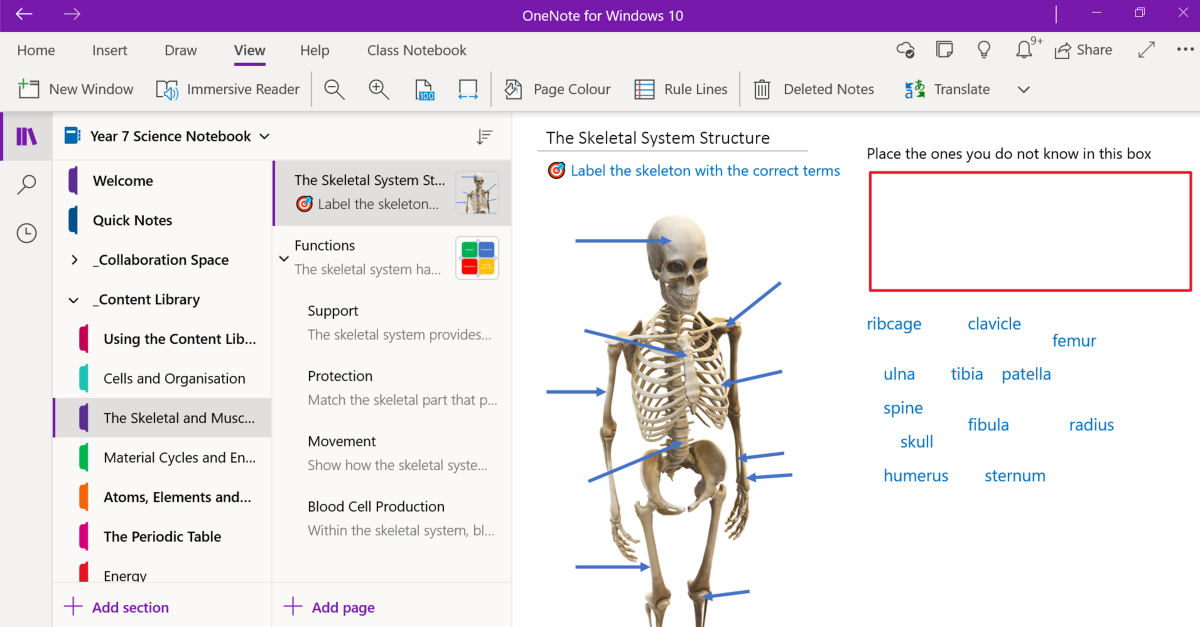 Schermafbeelding van een OneNote leerpagina klasnotitieblok. De pagina bevat een taak op de structuur van het skeletsysteem en een 3D-afbeelding van een skelet. Leerlingen/studenten worden geïnstrueerd om de beenderen te voorzien van verschillende woorden.  Ze hebben ook een gebied waar leerlingen/studenten de woorden kunnen slepen die ze niet kennen.