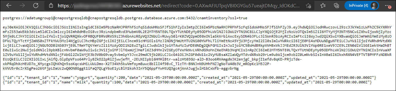 Screenshot of the page of the Express.js web app displaying the inventory data.