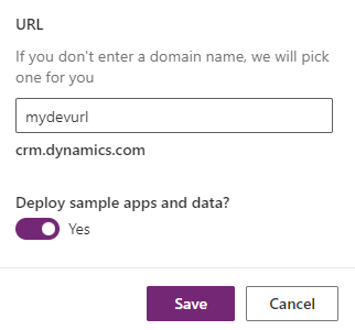 Screenshot of unique environment URL.
