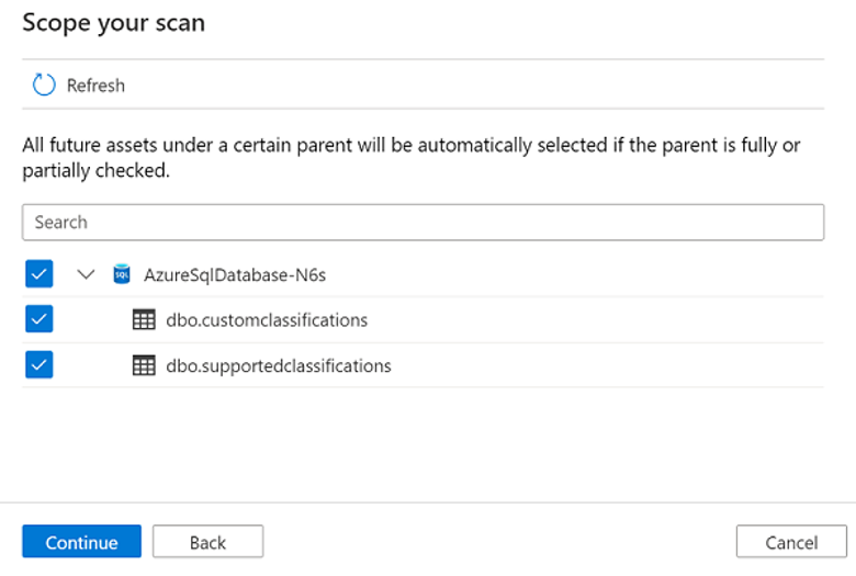 Screenshot of the database objects list when scoping your scan.