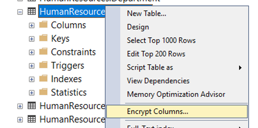 Launching the Encryption Wizard in SQL Server Management Studio.