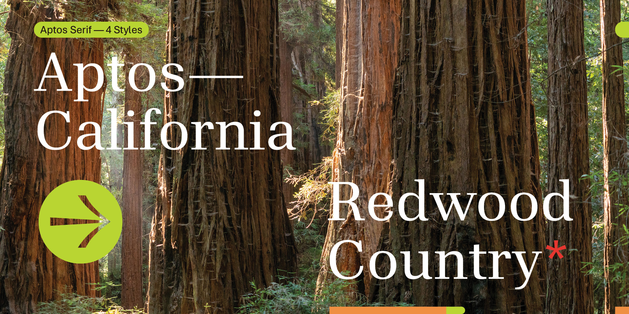 Aptos Poster 4