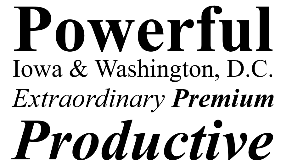 Times New Roman Poster 7