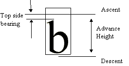 Lowercase b glyph with ascent, descent, top side bearing, and advance height metrics