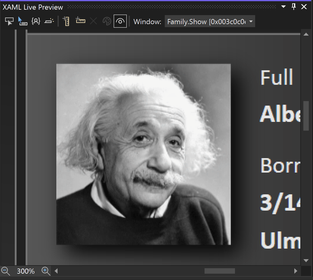 En animatie van hoe u linialen kunt toevoegen aan het overzicht van een afbeelding in XAML Live Preview.
