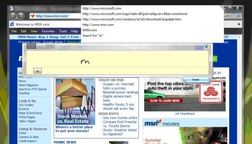 invoervenster met de IE-lijst voor automatisch aanvullen