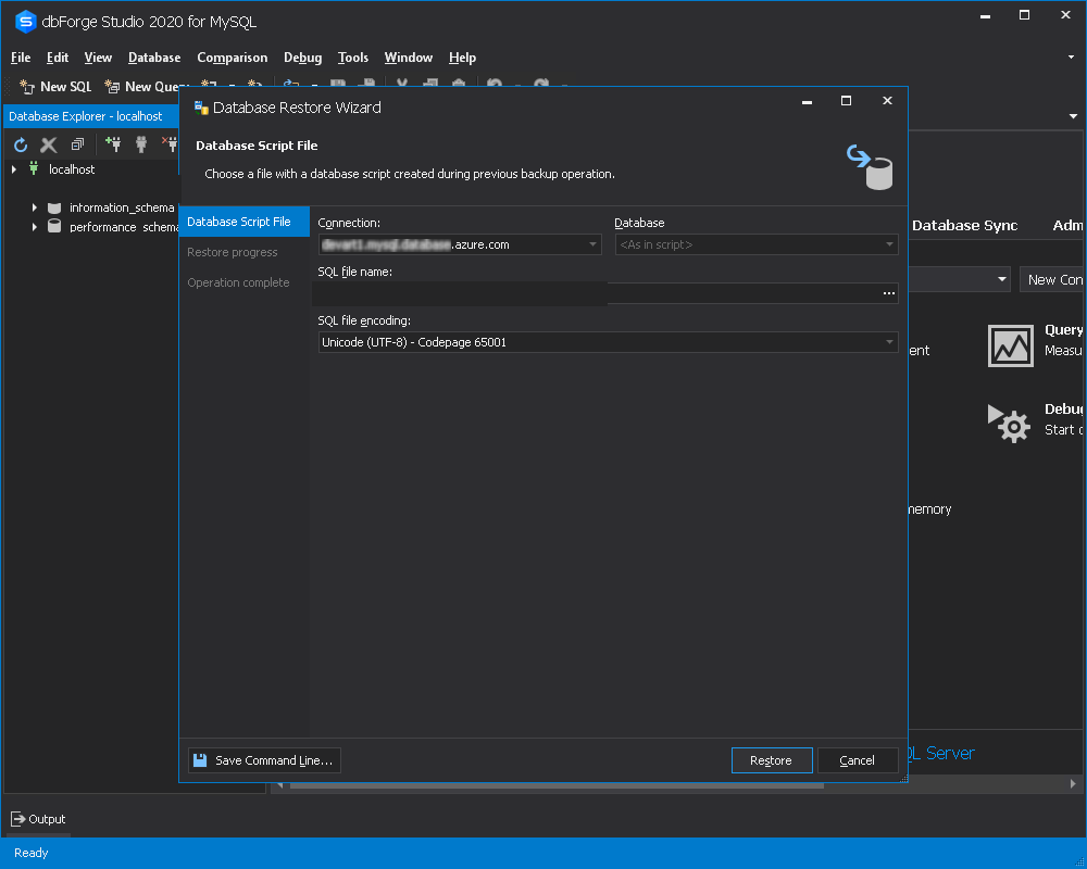 Screenshot showing the Restore step of the Database Restore wizard.