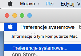 Strona Preferencje systemowe