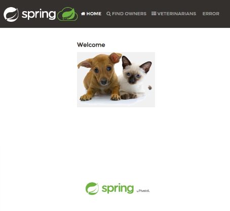 Zrzut ekranu przedstawiający aplikację petclinic.