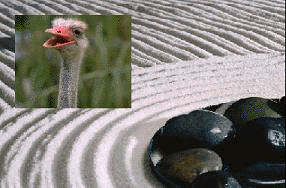 przejścia kompositora